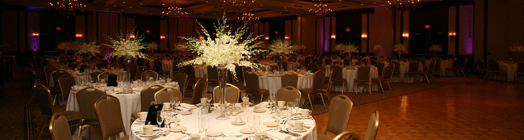 Osthoff In Bloom Photos